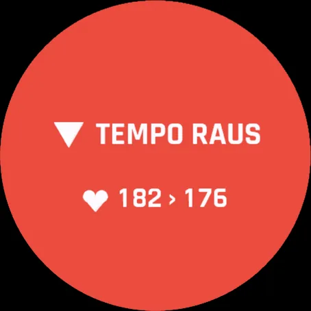 Rote Warnung: TEMPO RAUS, Herzfrequenz 182 über dem Ziel 176